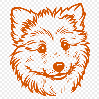 A illustration of a Shetland sheepdog's head, with a focus on its facial features and details.