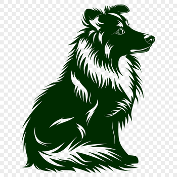 A portrait of a seated Shetland sheepdog with a calm expression.