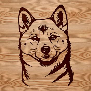 A detailed digital illustration of a Shiba Inu dog's head, suitable for use in vector art designs.