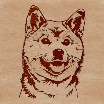 A detailed vector illustration of a Shiba Inu's head, suitable for use in digital designs.