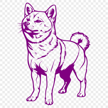 A detailed illustration of a standing Shiba Inu dog from the shoulders up, suitable for digital design and printing.