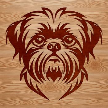 A close-up illustration of a Shih Tzu's head with distinctive features and facial expressions.