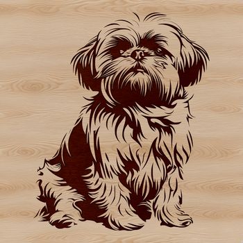 A small breed dog with a distinctive face, sitting comfortably on its haunches.