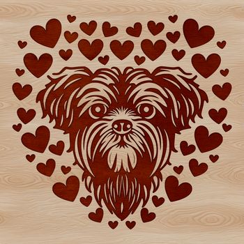 A cute Shih Tzu dog breed illustration with love hearts around its head.