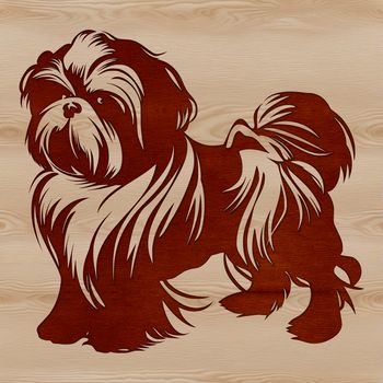 A standing Shih Tzu breed dog in a simple vector illustration.