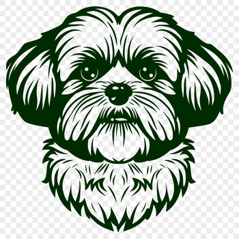 A compact dog breed with a flat face, distinctive features include a rounded muzzle and large eyes.