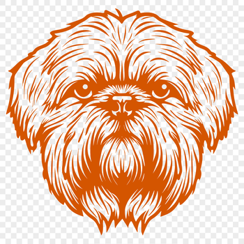A small breed dog with a long coat and flat face, popular as a pet.