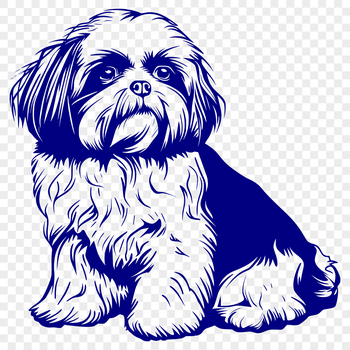 A full-body illustration of a sitting Shih Tzu dog breed.