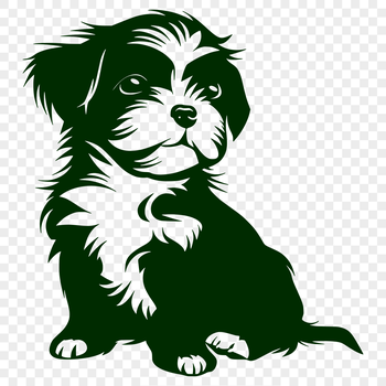 A small breed dog with long fur sitting upright.