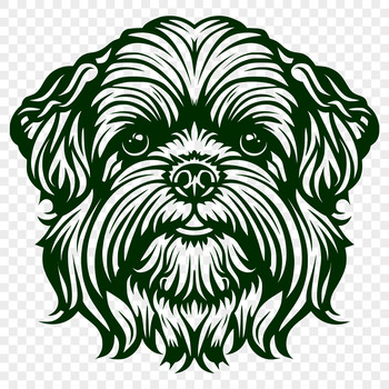 A portrait of a small dog breed known as the Shih Tzu, with its head held high.