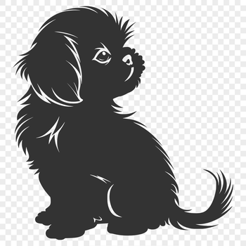A small, fluffy dog breed sitting upright on its haunches.