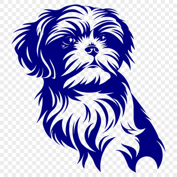 A close-up illustration of a Shih Tzu's head with a soft expression.