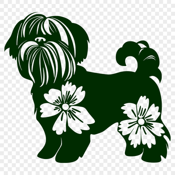 A small, fluffy dog breed stands in front of a floral background, showcasing its full body.
