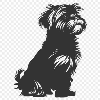 A full-body illustration of a seated Shih Tzu dog.