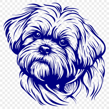 Close-up vector illustration of a Shih Tzu's head, suitable for digital design projects.