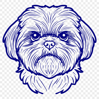 A close-up illustration of a Shih Tzu's head, featuring a small breed dog with a friendly expression.
