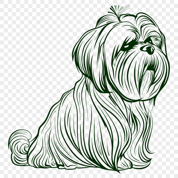 A close-up illustration of a friendly Shih Tzu sitting on its hind legs.