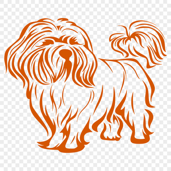 A small, fluffy dog breed with a distinctive head shape and curled tail standing on its hind legs.