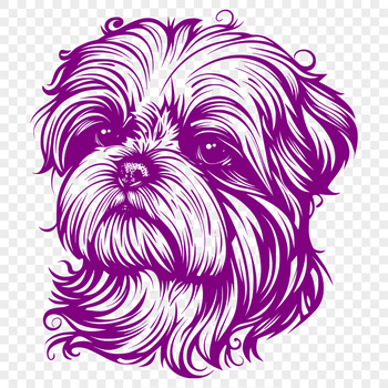 A stylized illustration of a Shih Tzu's head with details suitable for vector art.