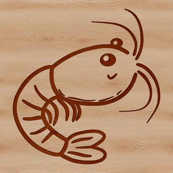 A detailed illustration of a small marine animal with multiple legs, commonly referred to as a shrimp.
