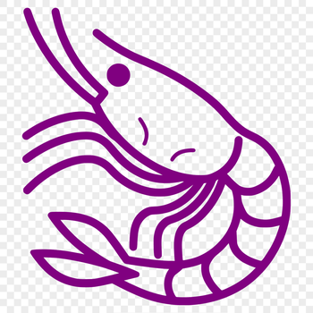 A simple line drawing of a full-bodied shrimp.