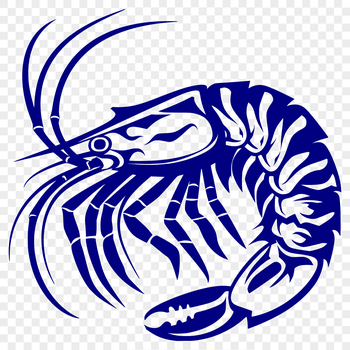 A detailed illustration of a shrimp from a full-body perspective.