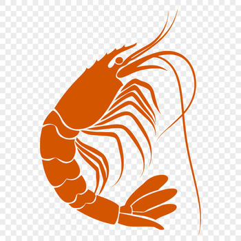 Beautiful Prawn Clip Art