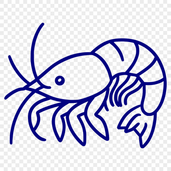 Unique Shrimp Vector Illustration