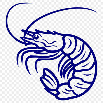 A detailed illustration of a shrimp's full body, suitable for clip art and vector design.