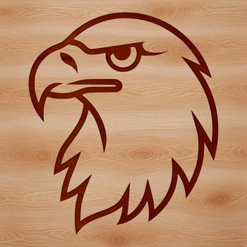 A simple line drawing of a bird's head, featuring the distinctive features of an eagle.