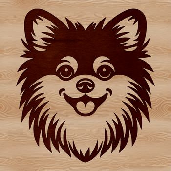 Vector illustration of a Pomeranian breed dog's portrait.