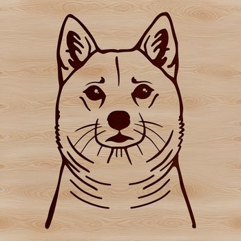 A simple line drawing of a Shiba Inu's head, ideal for pet owners and animal enthusiasts.
