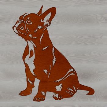 Vector graphic design of a seated Boston Terrier animal.
