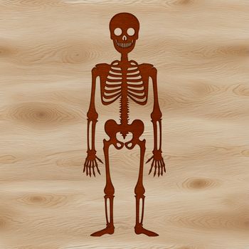 A standing skeleton figure made up of a human body structure, suitable for digital design and crafting projects.