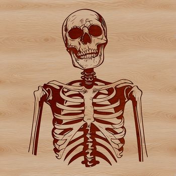 A detailed illustration of a human skeleton in a graphic format, suitable for various designs and crafts.