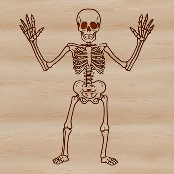 An editable vector design of a skeleton, suitable for various applications including graphic design and crafting projects.