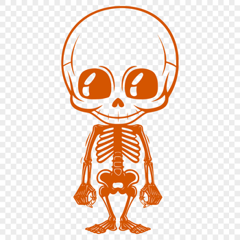 A detailed, full-body skeleton illustration in vector format.