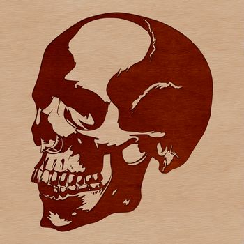A detailed illustration of a skull in a classic horror design style.