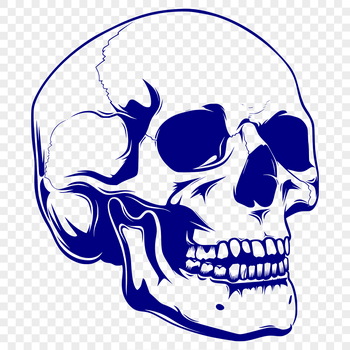 A detailed illustration of a skull with various design elements, ideal for tattoo designs or stencil projects.