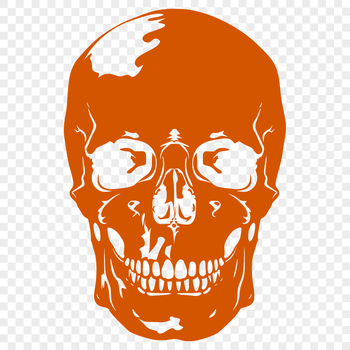 A detailed illustration of a human skull with intricate details suitable for tattoo design and vector art projects.