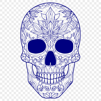 A detailed vector illustration of a human skull, suitable for use in various creative projects.