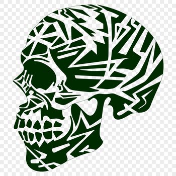Detailed illustration of a skull used as a design element for various applications.