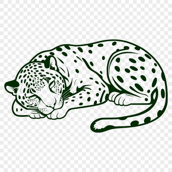A sleek and powerful big cat in a resting pose, suitable for use in digital designs.