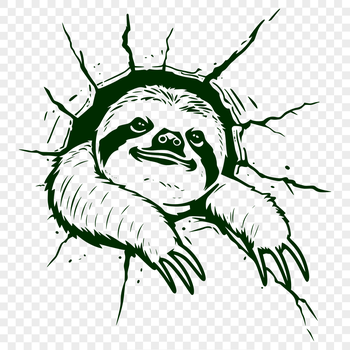 A close-up view of a sloth's head, showcasing its distinctive features.