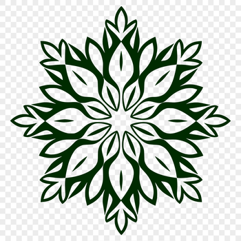 A detailed illustration of a snowflake with geometric patterns and symmetrical shapes.