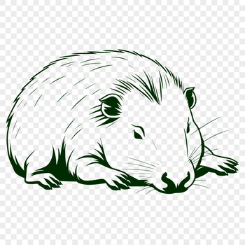 A digital illustration of a capybara, the world's largest rodent species, suitable for various design projects.