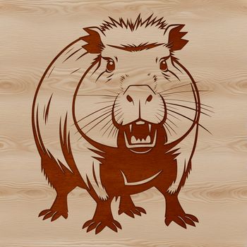 An illustration of a large rodent with webbed feet, commonly found in South America.