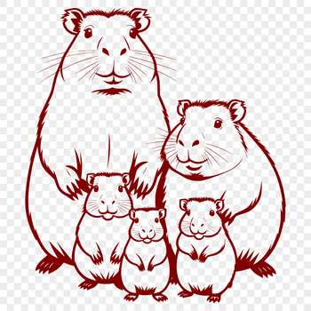 A detailed illustration of a rodent's face and body, showcasing its distinctive features.
