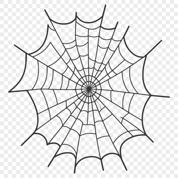 A detailed digital illustration of a spider web in high-resolution vector format.