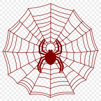 A delicate, intricate web pattern made by a spider, designed as a vector graphic.